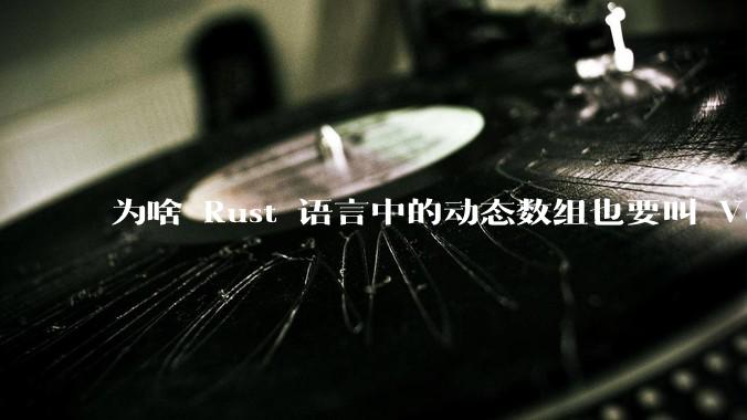 为啥 Rust 语言中的动态数组也要叫 Vector？