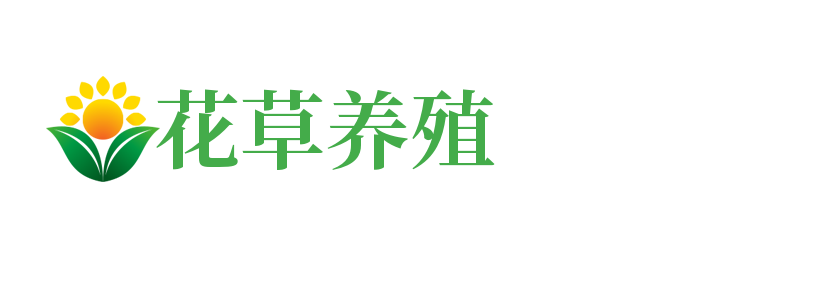 江苏省盐城市大丰区较展谊接冰箱清洗股份公司,秦皇岛江苏省盐城市大丰区较展谊接冰箱清洗股份公司